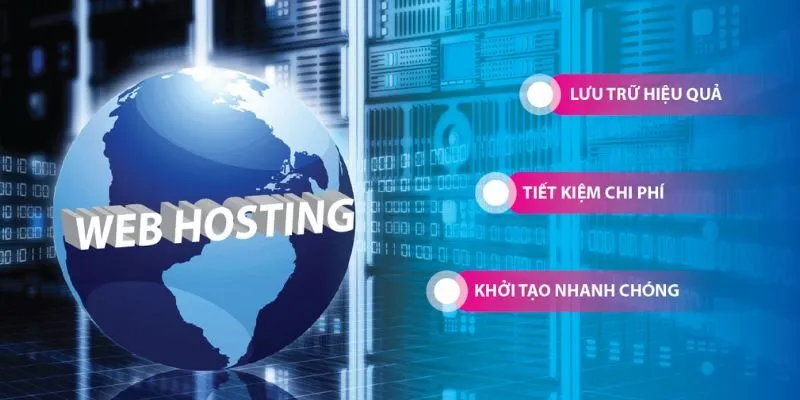Các Loại Hình Dịch Vụ Hosting Phổ Biến