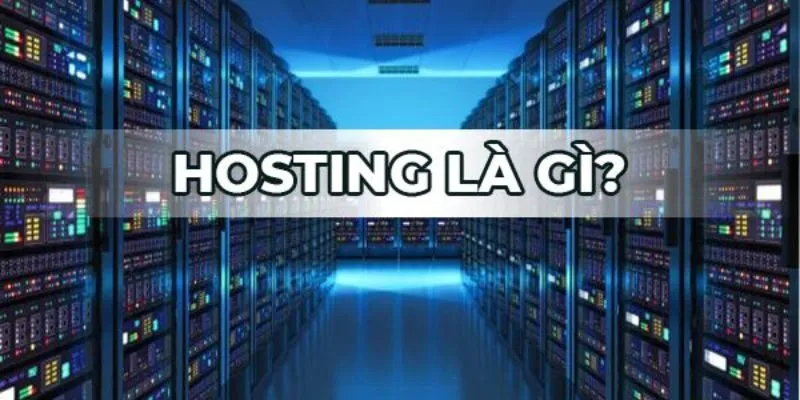 Kiến thức hosting cơ bản: Các Thành Phần Quan Trọng Của Hosting