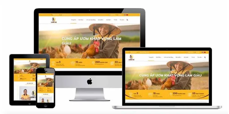 Những lý do nên chọn thiết kế website doanh nghiệp tại Tân Thái Bình?
